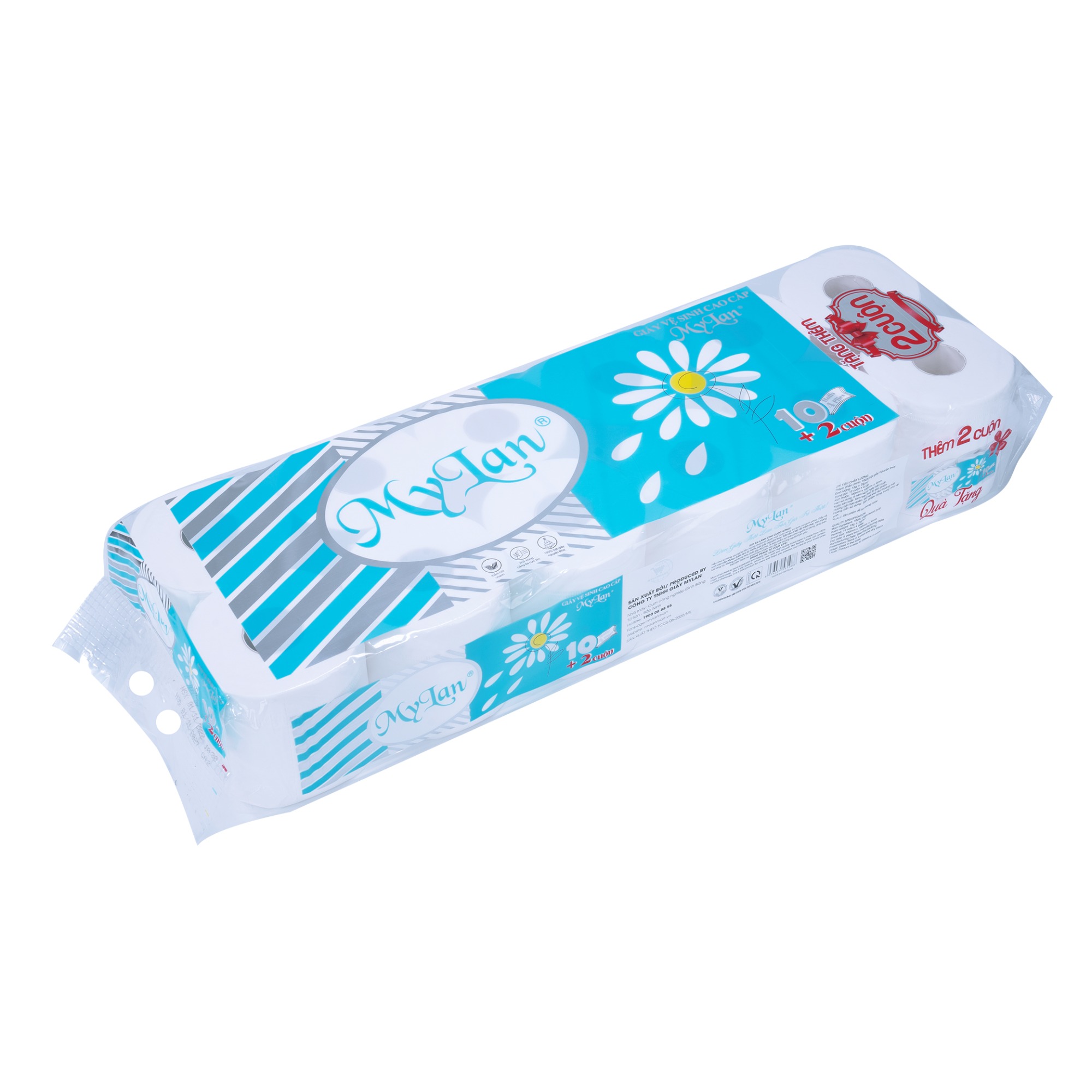 GVS cao cấp hoa cúc (có lõi) 4 lớp, 12 cuộn/dây