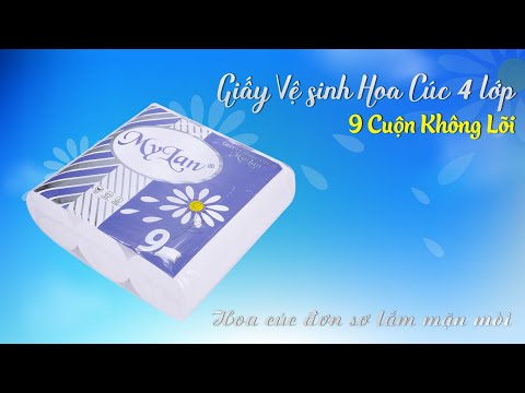 GVS cao cấp hoa cúc (không lõi) 4 lớp, 9 cuộn/dây